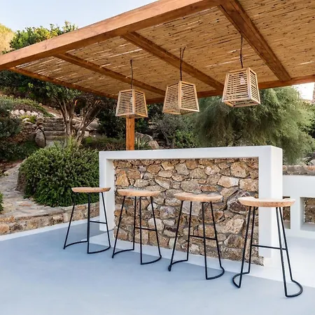 Artisti Mykonos * Αγράρι