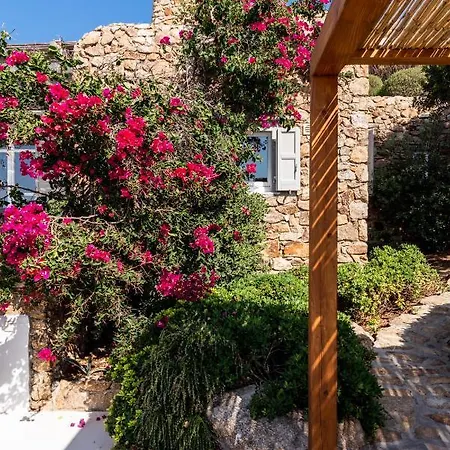 Βίλα Artisti Mykonos